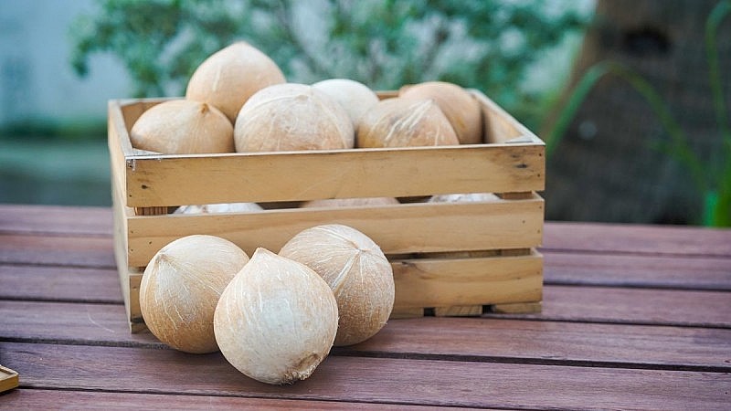 GIÁ DỪA TƯƠI XUẤT KHẨU RỚT GIÁ ĐỘT NGỘT !